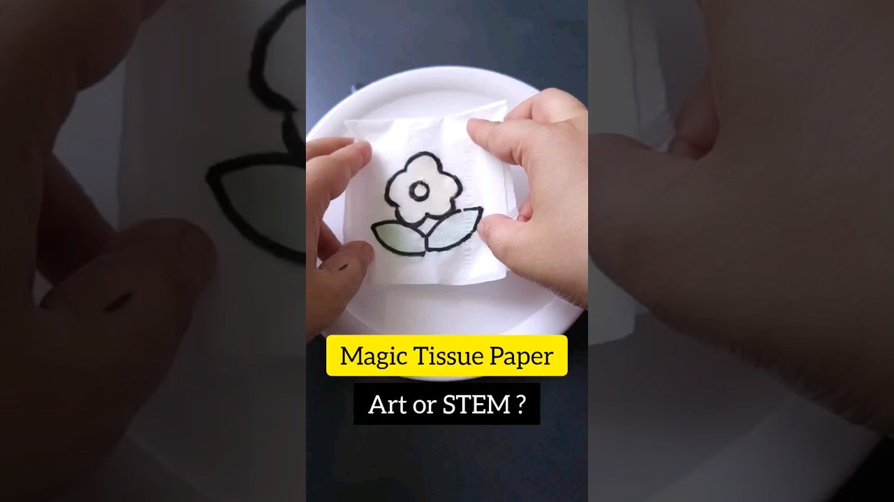 Magic Tissue Paper STEM Activity for Kids ✨