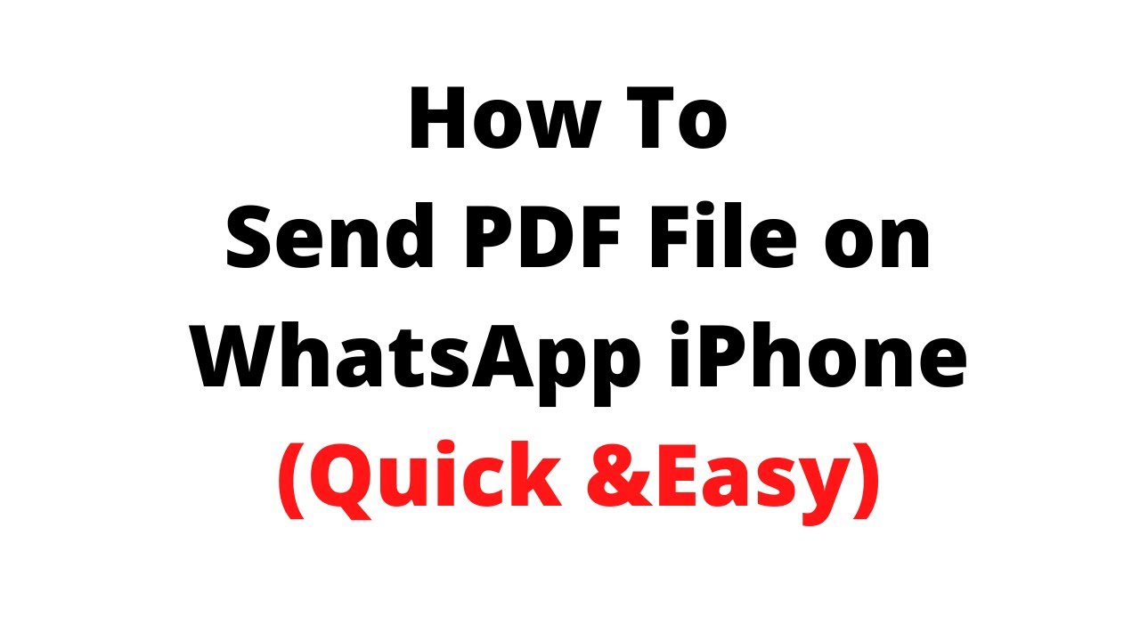 Easily Send PDF Files on WhatsApp iPhone 📱