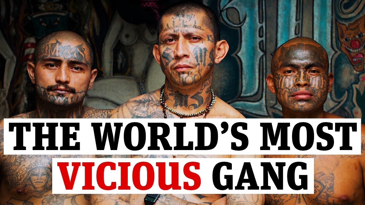 MS-13: Inside the World's Most Notorious and Dangerous Gang 🩸