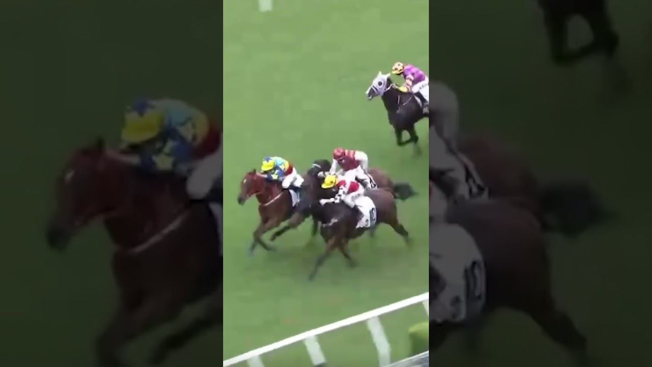 Four-Horse Photo Finish! Who Won? 🤯