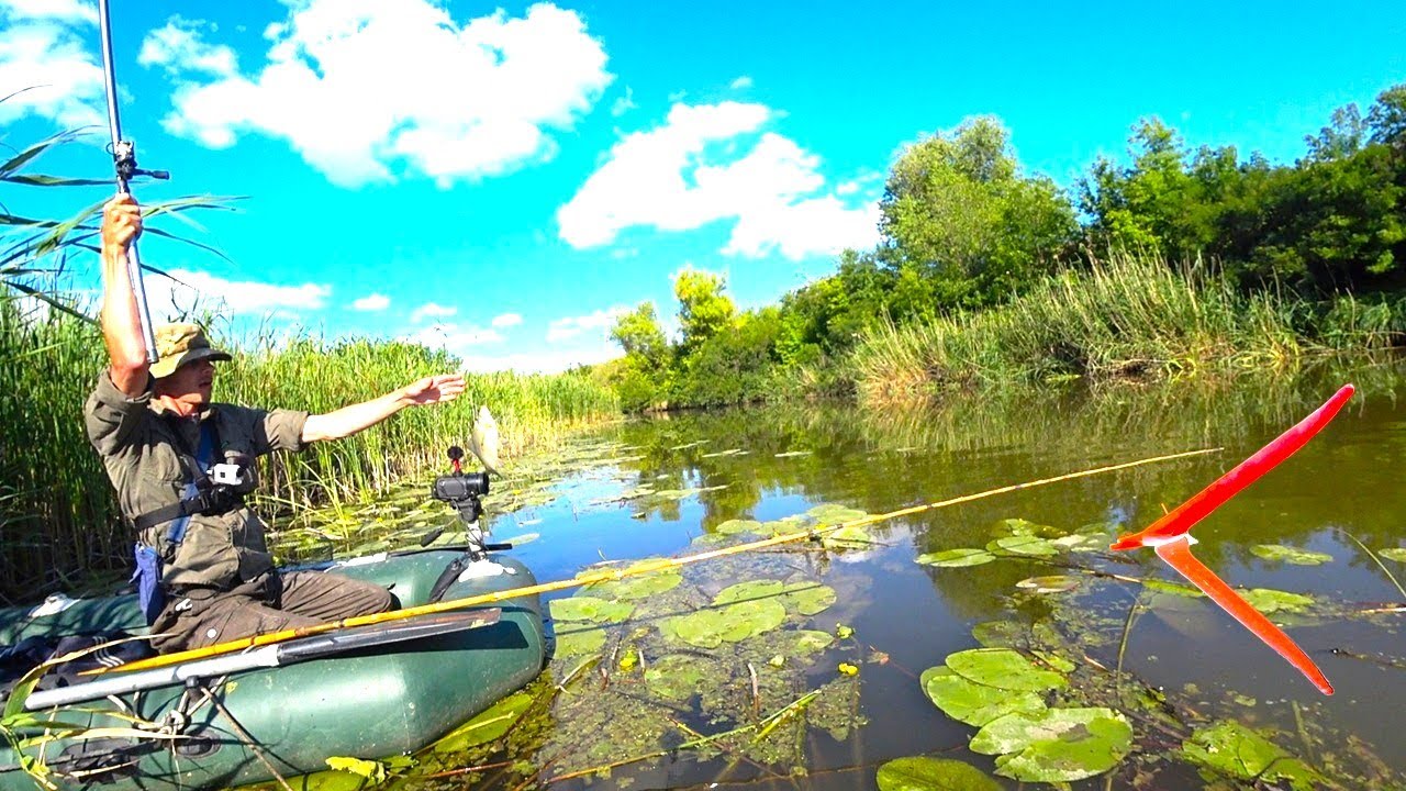 Летняя рыбалка в зелёном раю 🎣