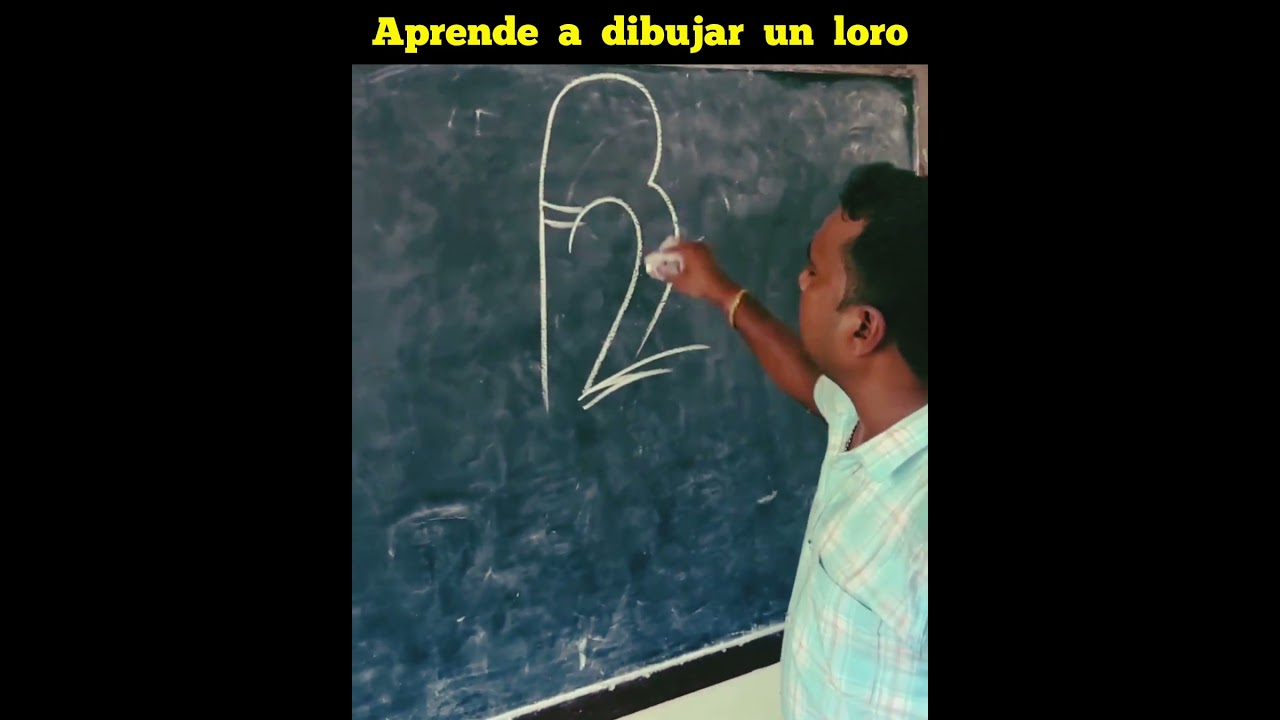 Cómo Dibujar un Loro Fácilmente 🦜