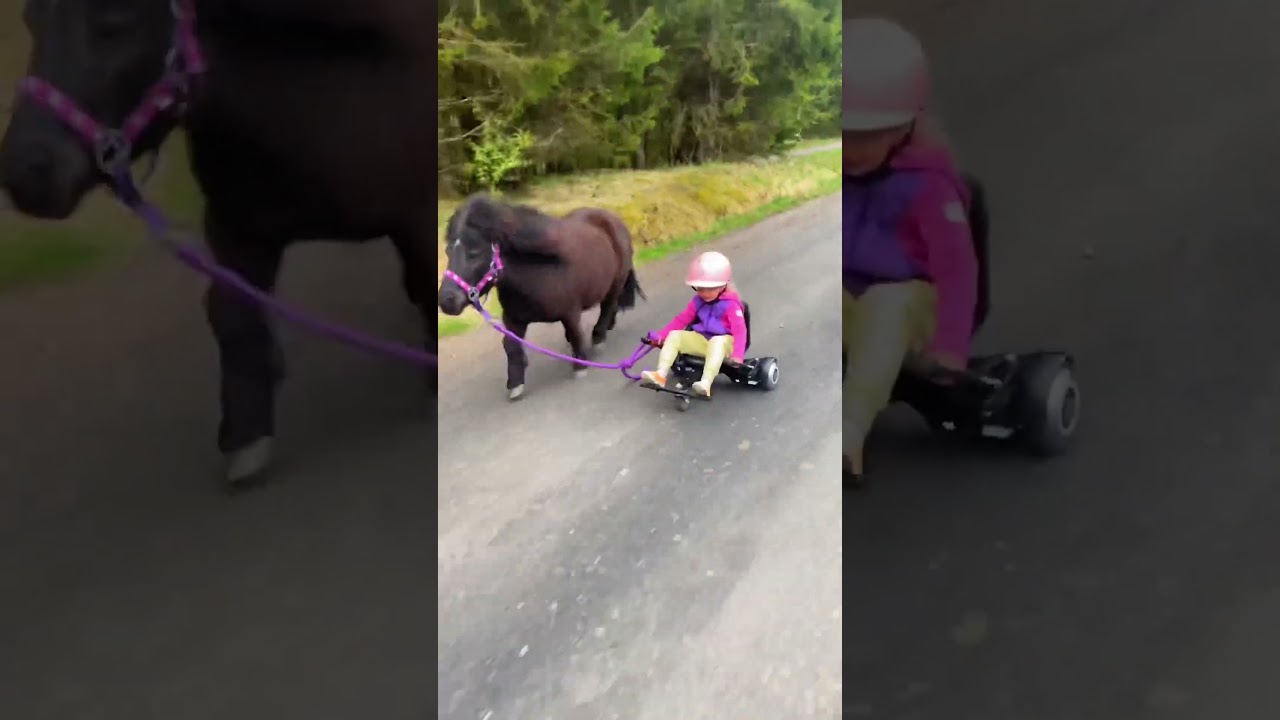 Ella & Black Enjoying Fun Times 🐴