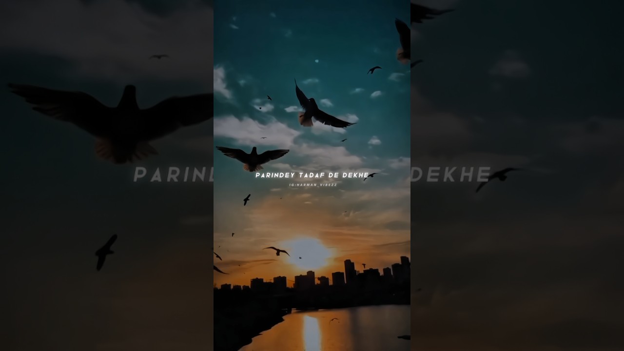 Parindey by B Praak | Soothing Slow & Reverb Version 🎶
