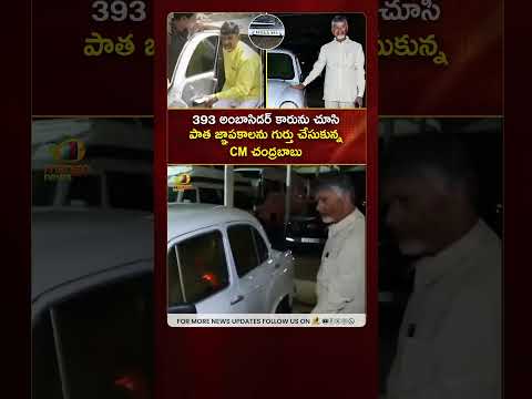 393 అంబాసిడర్ కారును చూసి పాత జ్ఞాపకాలను గుర్తు చేసుకున్న CM చంద్రబాబు | #Chandrababu | #YTShorts
