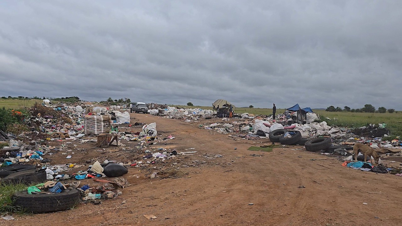 South Africa News - Highlights from October 26, 2025 🦁