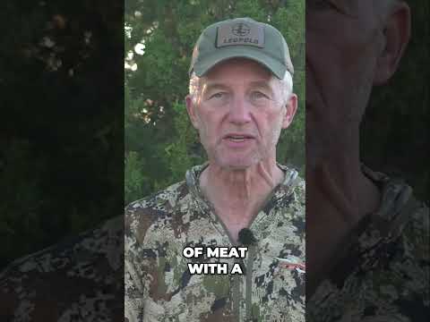 HOW MANY COOLERS FOR AN ELK??? #freshtracks #hunting