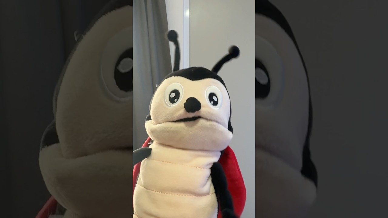 Maestros que realmente enseñan 📚