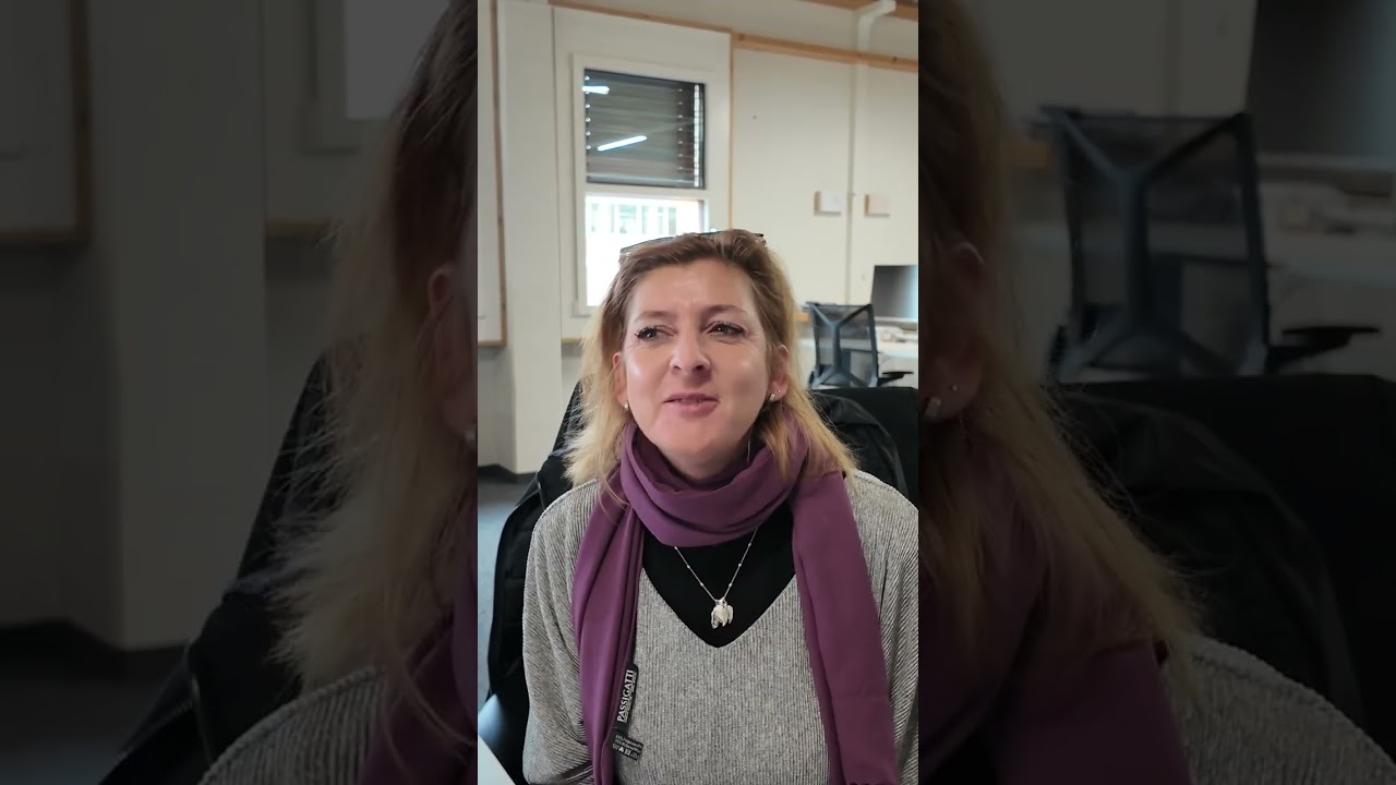 Test: Geschmack der neuen Zweifel Aromat Chips 🍟