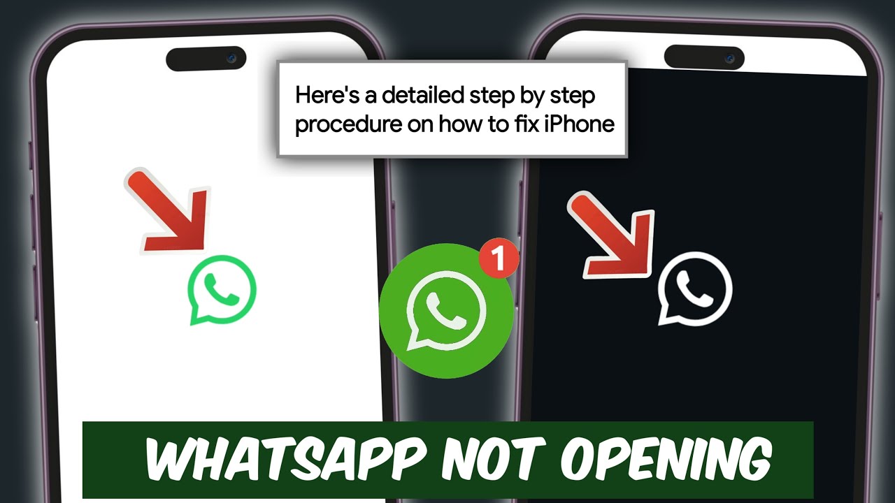 Fix WhatsApp Not Opening Problem on iPhone | WhatsApp Stuck on White Black Screen Problem on iPhone