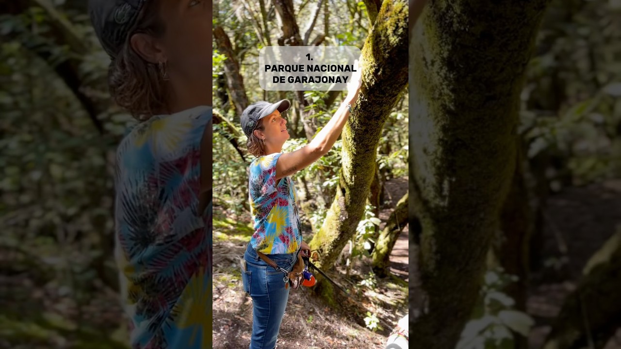 Top 10 Lugares para Visitar en La Gomera en Camper 🚐