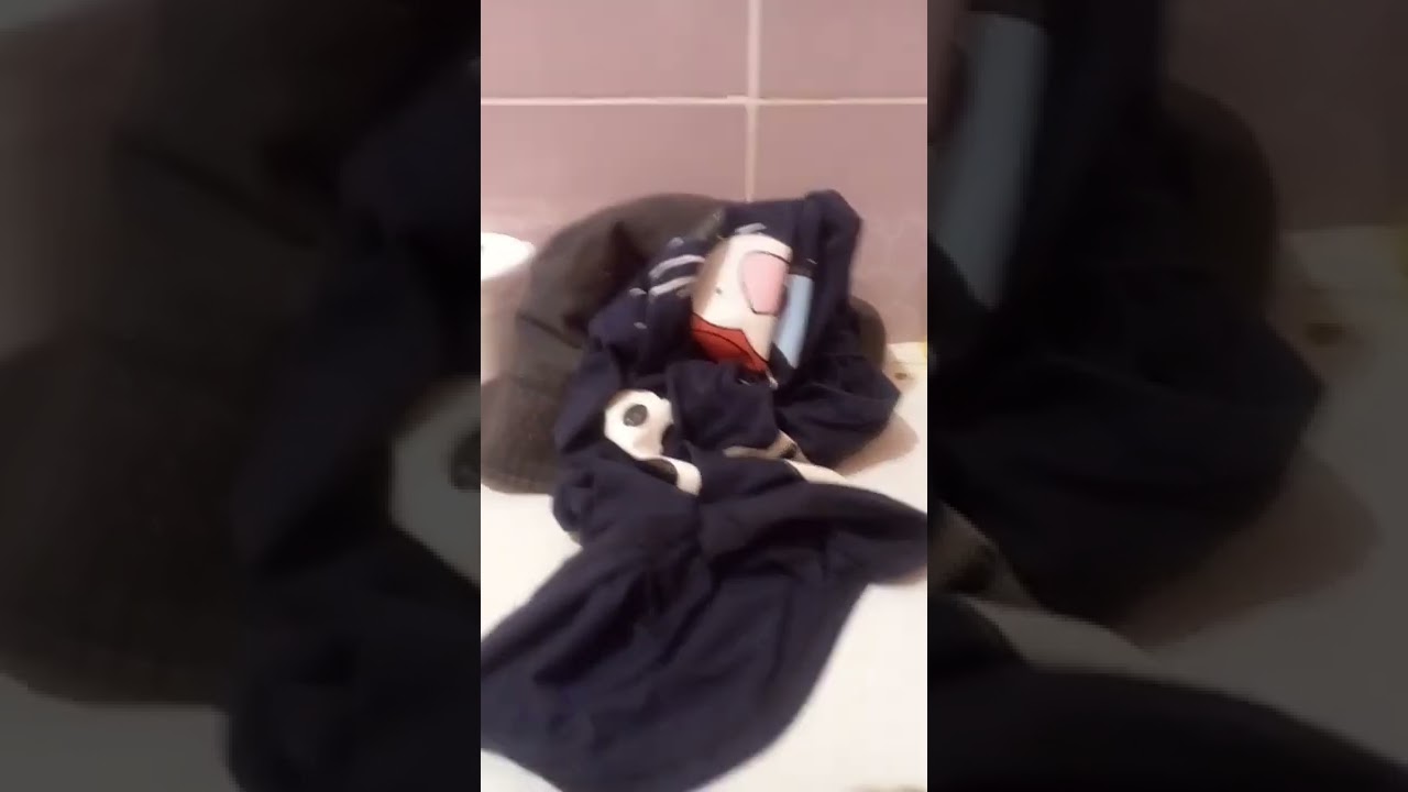 ¿Me acompañas? Gracias 💫