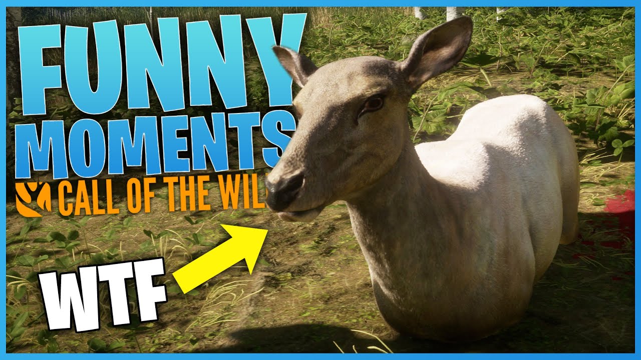 Funny Moments! #1 | theHunter: Call Of The Wild
