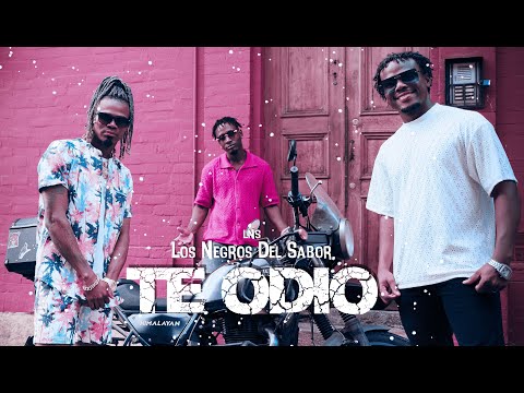 LNS Los Negros Del Sabor - TE ODIO (Video Oficial) | Salsa Urbana