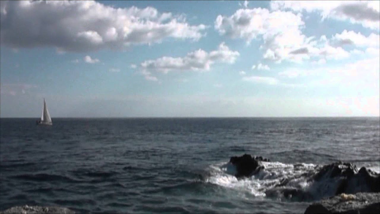 My Love Canaries! Deals & Promo Codes ✈️