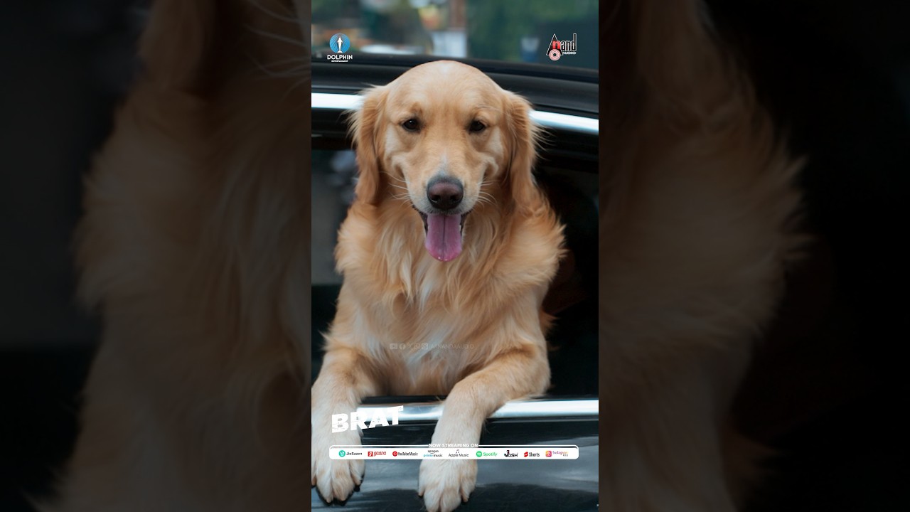 BRAT Telugu Teaser | Darling Krishna & Shashank π¬