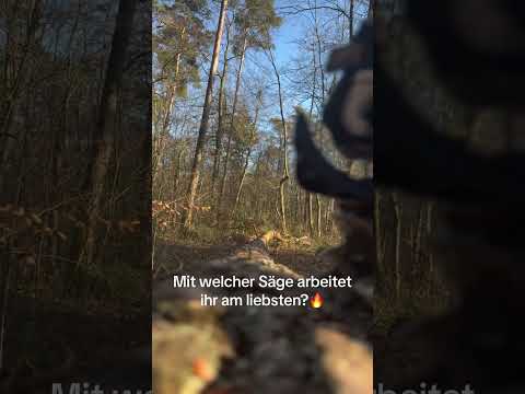 Was ist eure Lieblingssäge 🌲🌳 #Forstwirtschaft #forsttechnik #chainsaw #forest #tree #wood