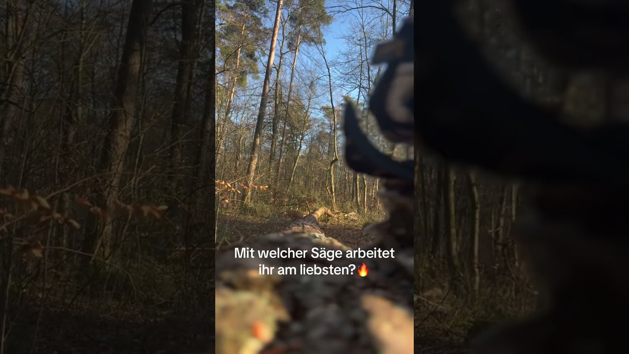 Welche Säge ist eure Lieblingswahl für die Forstwirtschaft? 🌲