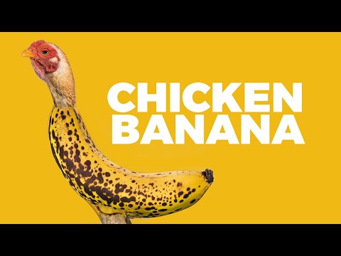 Chicken Banana - Download & Stream πΆ