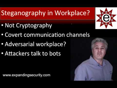 Painpill 23 Steganography CISSP CEH.mp4
