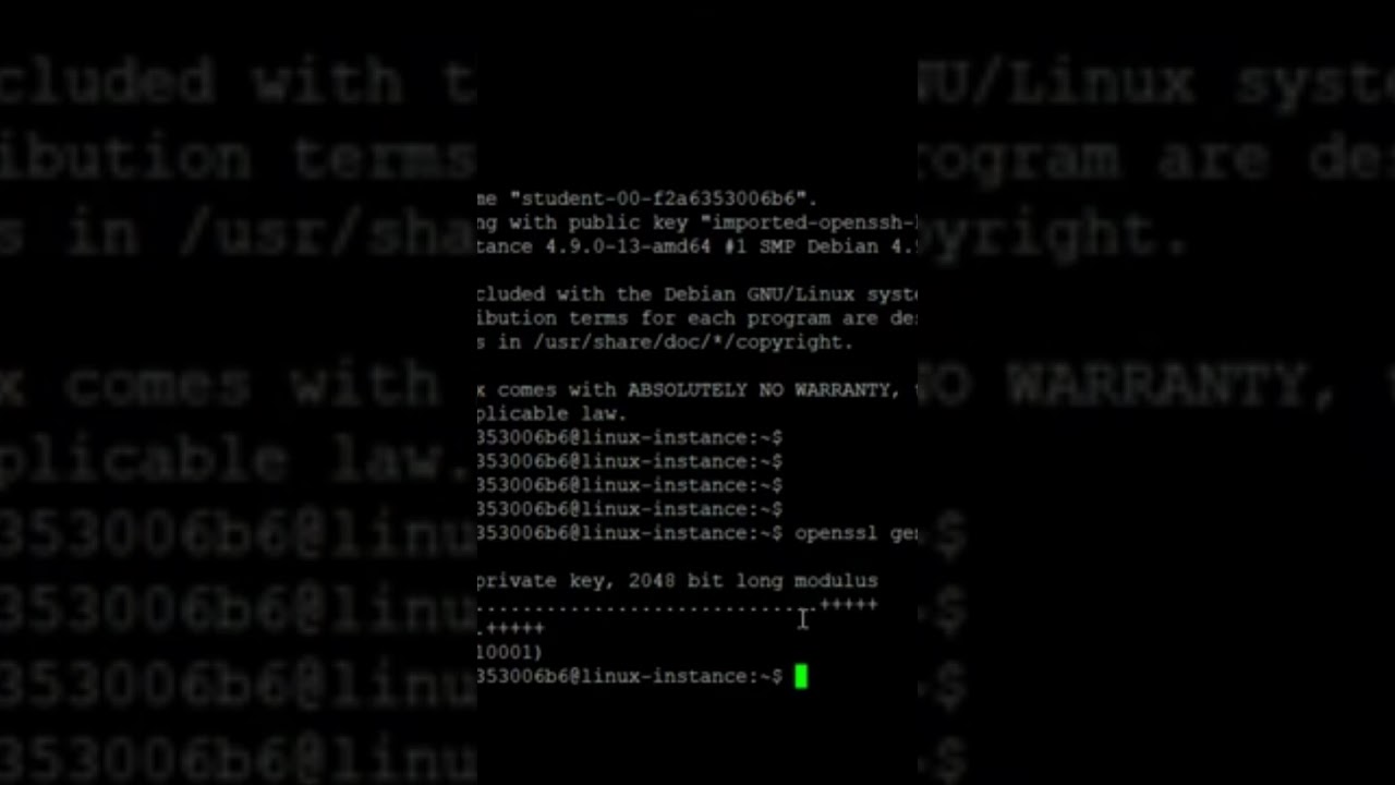 Learn How to Generate a Secure Private Key on Linux 🔐