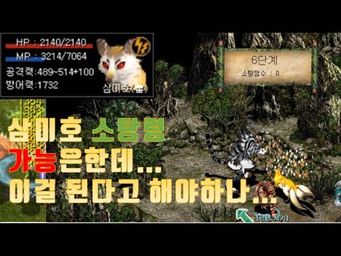 거상 삼미호 소탕령 영상 🐟