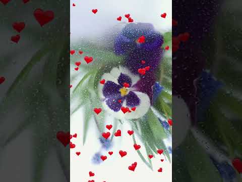 САМАЯ ПРЕКРАСНАЯ РЕЛАКС МУЗЫКА #shorts #music #beautifulmelody