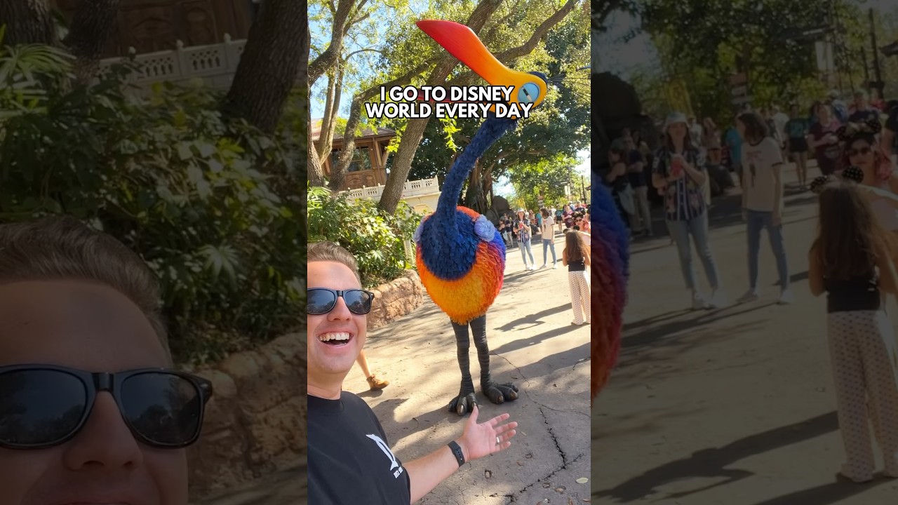 First 5 Rides to Ride in Disney’s Animal Kingdom