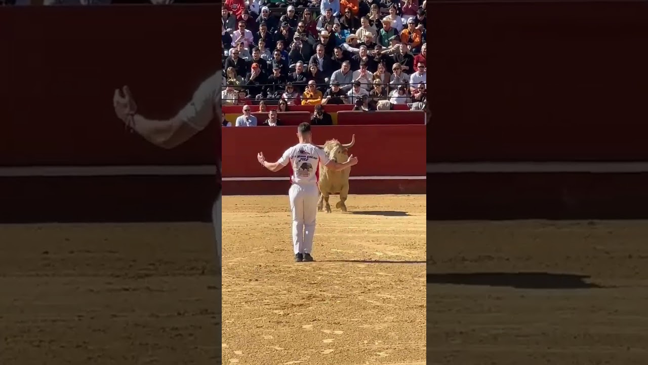 ¡Toro rompe pantalón en Valencia 2025! 🐂