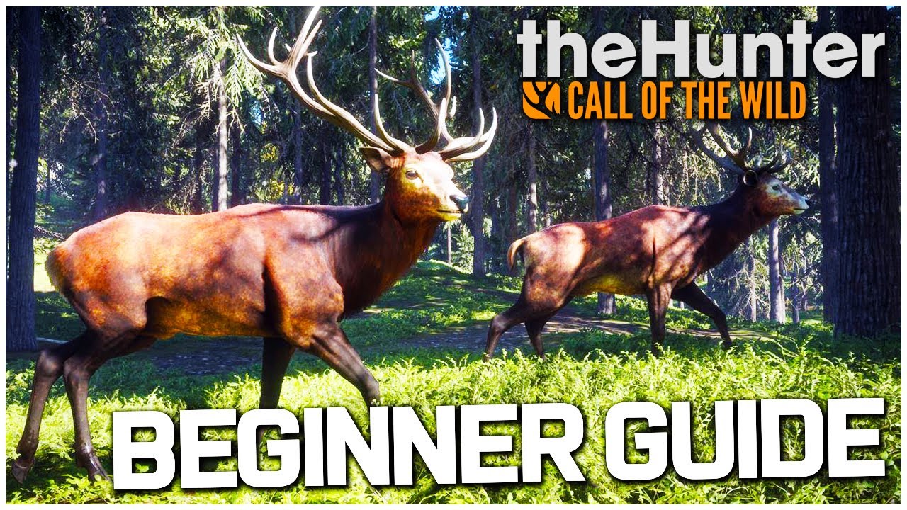 Hunter Call of the Wild: Beginner Tips & Tricks ๐ฆ