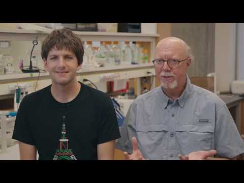 Protein Design by Provable Algorithms with Bruce Donald and Mark Hallen