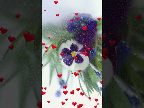 ЗАВОРАЖИВАЮЩИЙ САКСОФОН #shorts #music #beautifulmelody