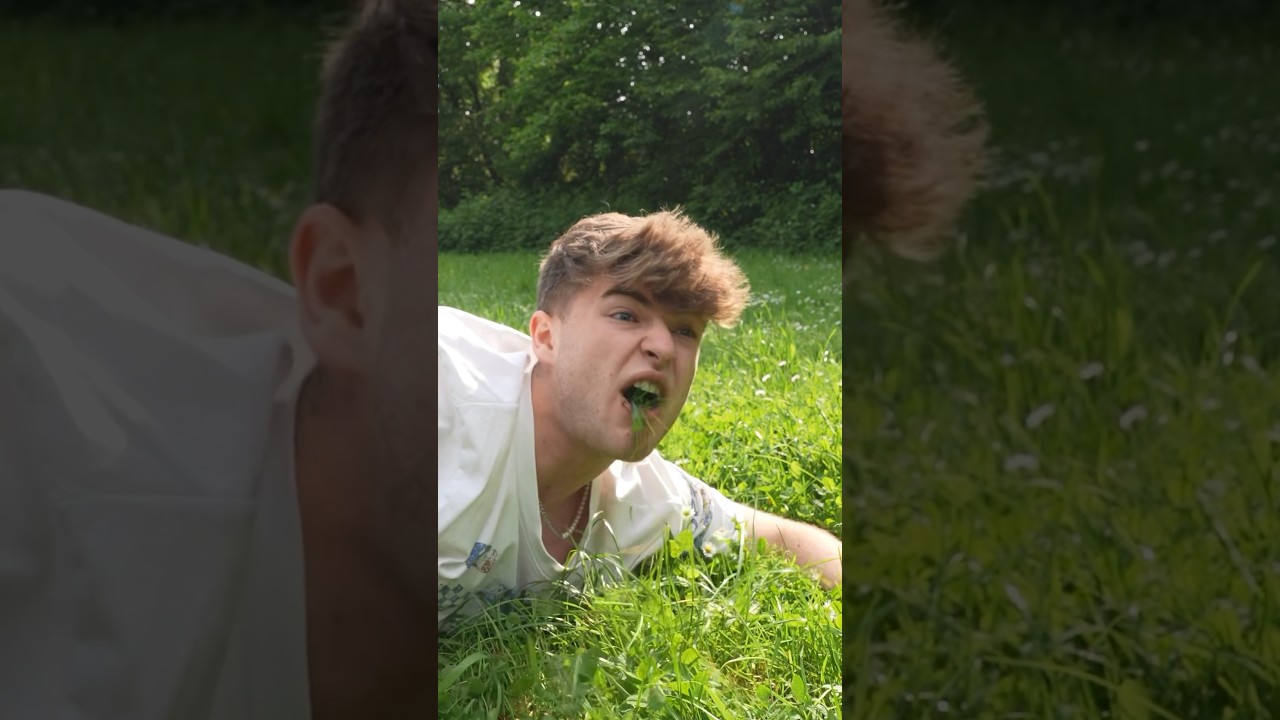 Lustige Fragen 😄 | Lewinray #shorts