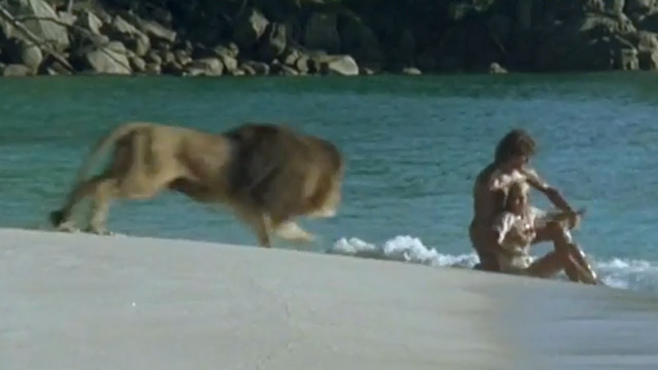 These Animal Attacks Turned Deadly