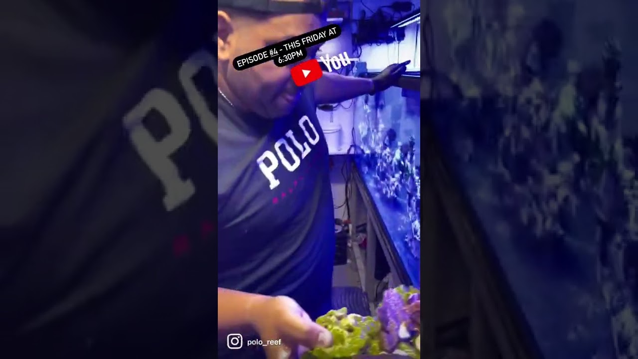 World's Largest In-Home 17,000-Gallon Reef Tank 🌊