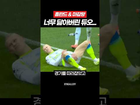 결국 눈나가 되어버린 그 녀석들...