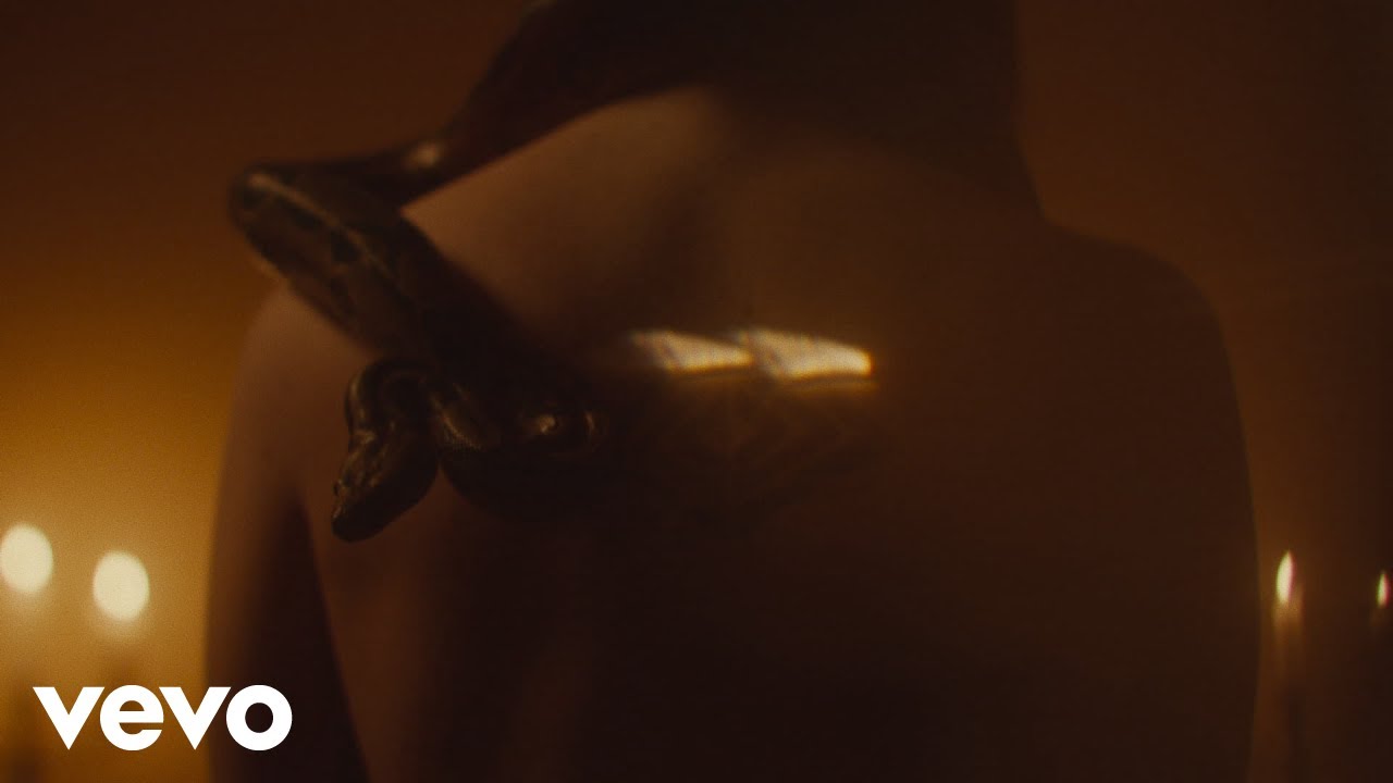 Scopri il Nuovo Video 'COLPA TUA' di MACE, Venerus e Guè Pequeno 🎶