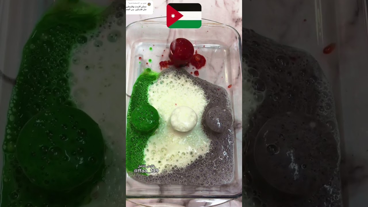 علم الأردن 🇯🇴❤️ #الاردن #جوردان