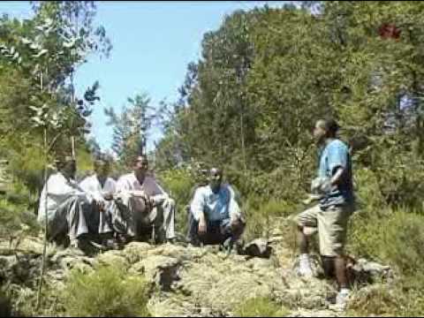 Tsegaye Sime: Seboye Sima Guragigna Music