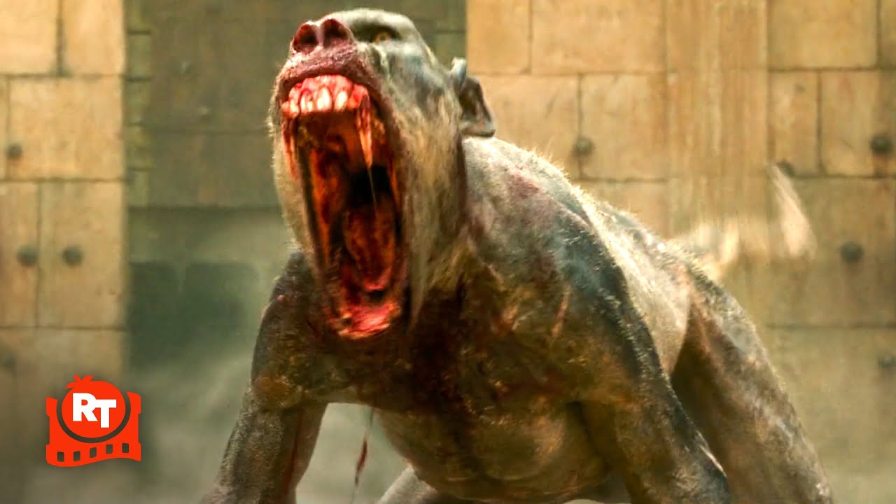 Gladiator II (2024) | Intense Rabid Monkey Attack Scene 🐒