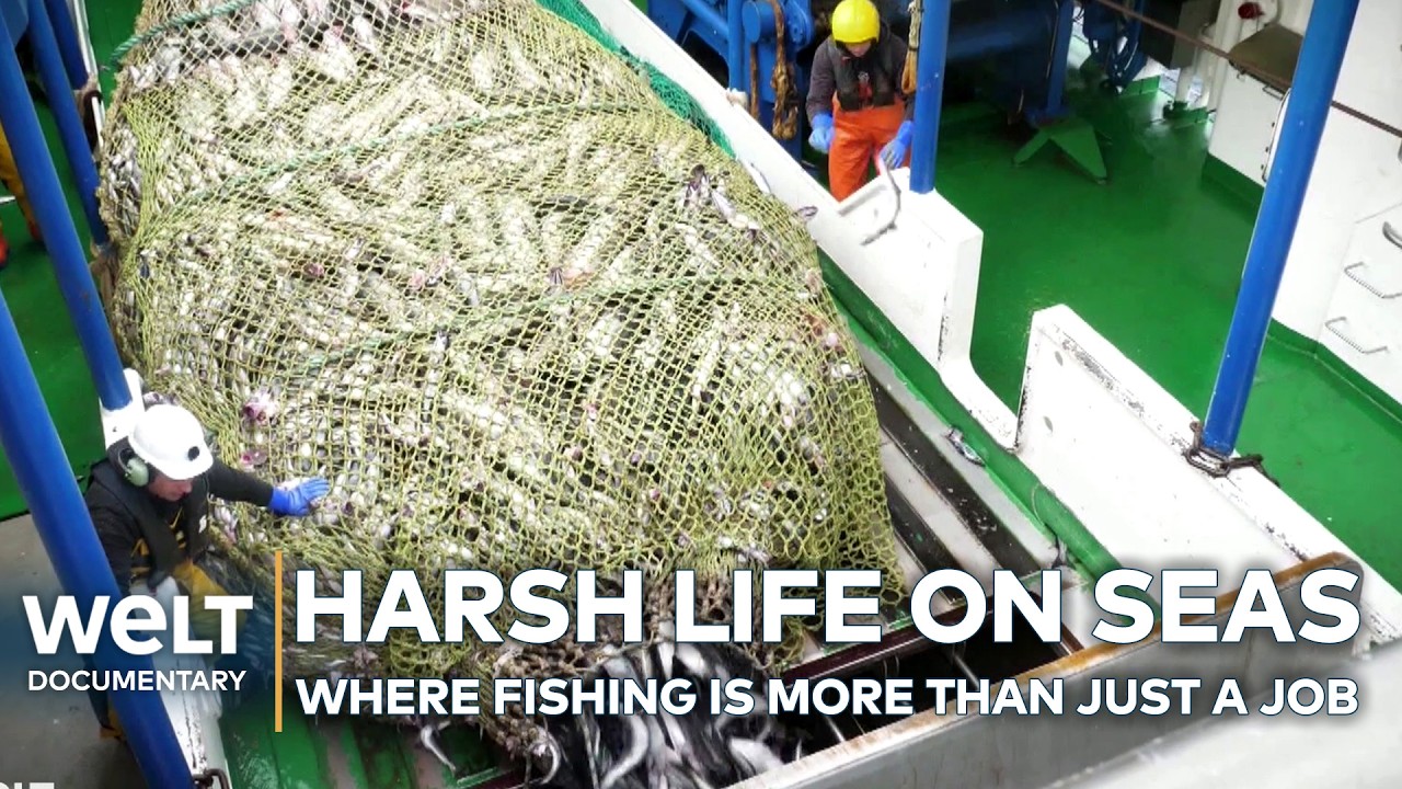 Storms & Steel: Deep-Sea Fishing Risks 🌊