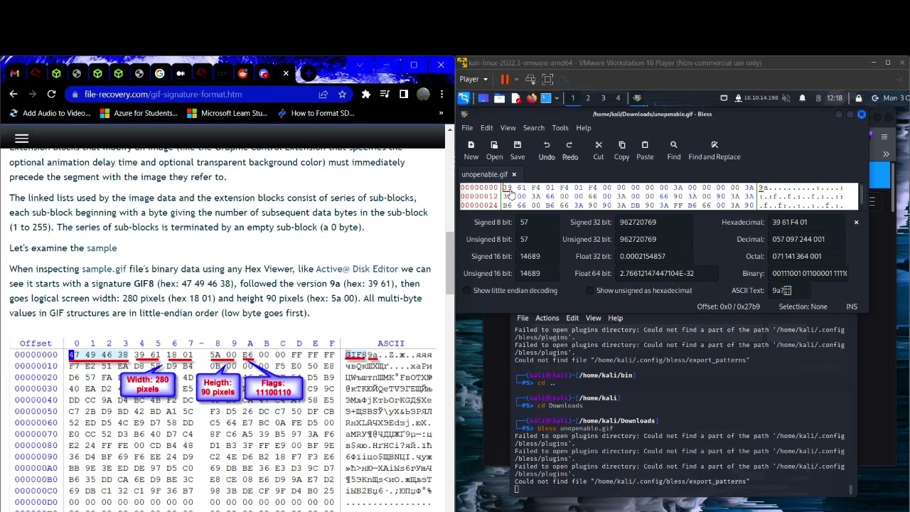 Master ImageMagick for CTF Challenges: Fix Corrupted Files & Forensics 🔍