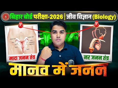 เคฎเคพเคจเคต เคฎเฅเค เคเคจเคจ | Reproduction In Humans Class 10 | Biology Class 10 Chapter 6 | 10th Biology Chapter 6