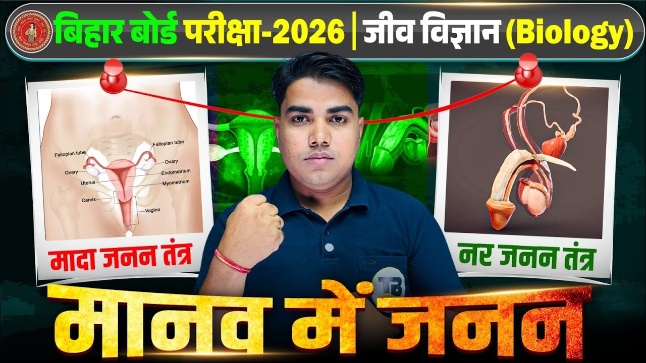 मानव में प्रजनन: कक्षा 10 के लिए संपूर्ण बायोलॉजी गाइड 📘