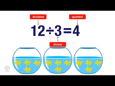 Understanding Division for Grade 3 Students