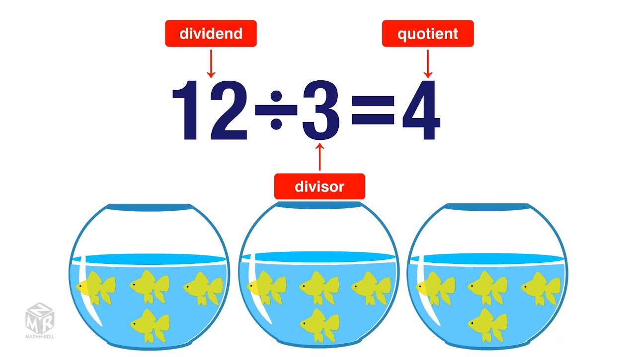 Understanding Division for Grade 3 Students