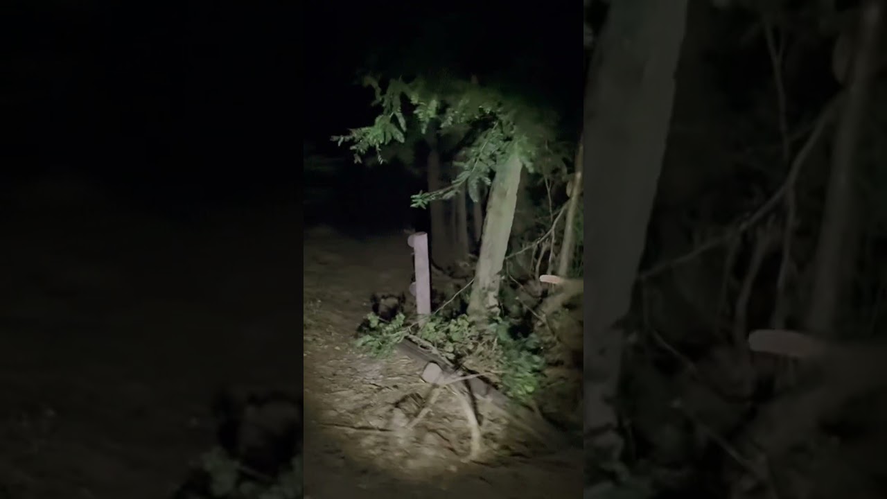 Esplora Luoghi Notturni 🌙