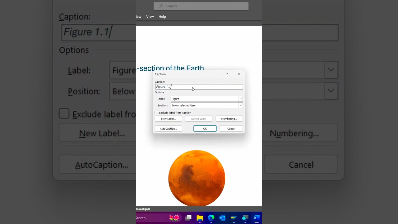 Add Captions in Microsoft Word π