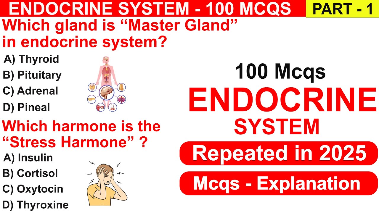 Endocrine Glands MCQs: Anatomy & Hormones 🩺