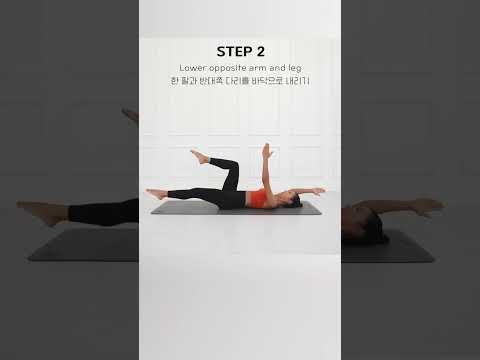 ABS + CORE workout (No Neck, Back Pain)